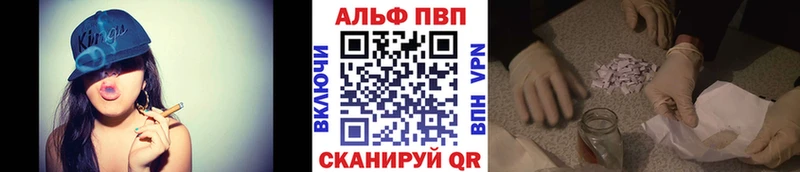 Alfa_PVP СК  ОМГ ОМГ   Щигры 